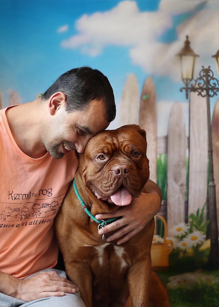 dog, animal, man, love, pet, dogue de bordeaux